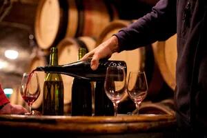 El vino argentino que se consagró como “Master” en Londres, compitiendo con vinos franceses