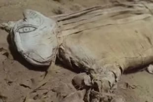 Las excavaciones de la misión egipcia en la necrópolis de Saqqara empezaron en abril de 2018, cuando se descubrieron decenas de animales momificados, siendo los más destacados los escarabajos y los cachorros de león por su rareza