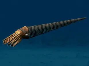 El orthoceras, un depredador de seis metros de largo que dominaba en el período Ordovícico fue una de las víctimas de la desoxigenación de los océanos en la extinción masiva ocurrida hace 450 millones de años