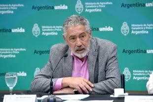 El subsecretario de Ganadería, José María Romero, en la conferencia de prensa donde se anunció el stock a 2021