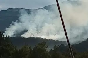 En la Patagonia se combaten incendios forestales que afectan áreas boscosas