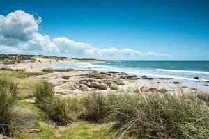 Las 5 claves para tener playas sustentables y convivir con la naturaleza