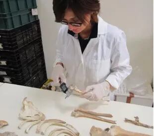 La doctora Serena Viva ha estudiado los restos hallados en Pompeya