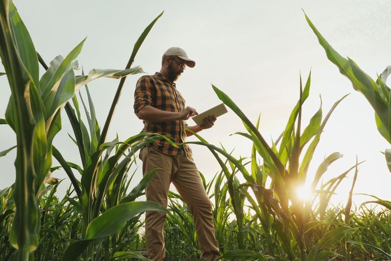 Hay un nuevo paradigma con la agricultura digital