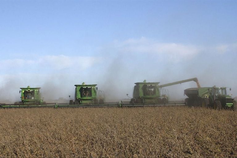 Tras subir un 2,8%, el valor de la soja en Chicago quedó en lo más alto desde agosto