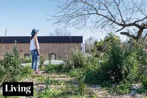 Visitamos a cuatro dueños de casa que lograron construir su propio techo verde