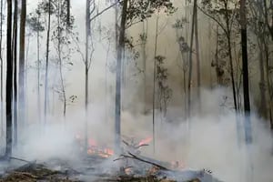 Australia: El cambio climático y el fuego desafían al país