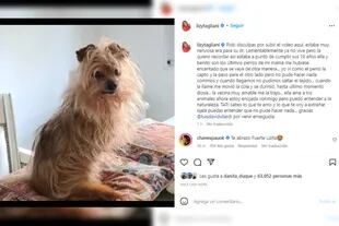 Lizy despidió a su perro Tati, tras el ataque que le causó la muerte (Foto Instagram @lizytagliani)