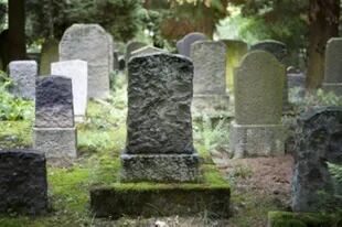 La reducción orgánica natural se ofrece como una alternativa ecológica a cremaciones y funerales tradicionales