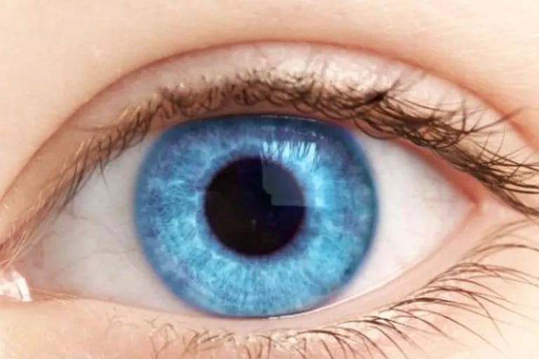 Blue eyes are an unexpected discovery that unites everyone