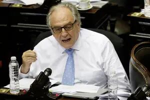 Un diputado oficialista dijo que votará el proyecto “con la nariz tapada” y destacó la postura de Máximo Kirchner