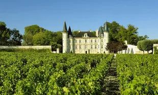 Castillos y viñedos de Château Lafite en Burdeos, Francia