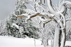 Clima en Ushuaia hoy: cuál es el pronóstico del tiempo para el 18 de marzo