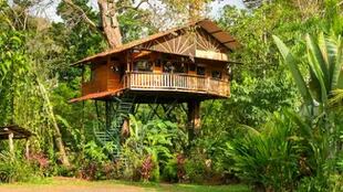 Casa de árbol de inspiración balinesa, en Jacó, Provincia de Puntarenas, Costa Rica.

Foto: Airbnb
