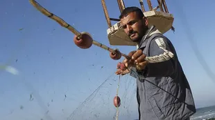 El pescador palestino Jawdat Ghrab dice haber sacado del mar una estatua del dios Apolo de 2500 años de antigüedad