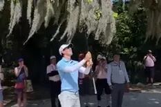 El extraño tiro de un golfista desde un árbol que obligó a revisar los libros de reglas