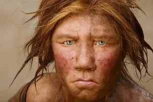Encuentran un diente de leche que perteneció a uno de los últimos neandertales