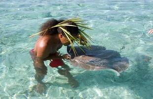 Nadar con mantarrayas: actividad cotidiana en Polinesia.
