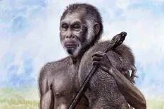 Una especie de homínido prehistórico podría estar en las selvas de Indonesia, según científicos
