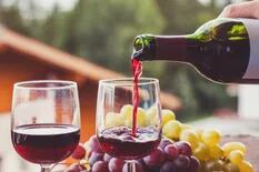 Cabernet Franc: razones para probar el tinto que revoluciona el gusto del vino