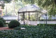Este fin de semana, podes llevarte un gajo del Jardín Botánico a tu casa