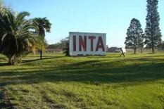 Dos diputadas K proponen sacar a los productores del Consejo Directivo del INTA