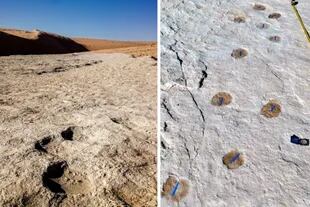 Las huellas de elefantes (izquierda) y de camellos (derecha) estaban entre las huellas fósiles encontradas alrededor del antiguo lago