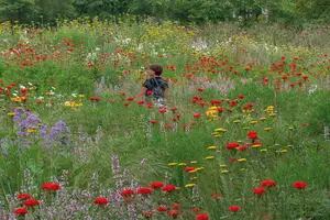 Nigel Dunnett, el paisajista que busca mejorar la calidad de vida con jardines