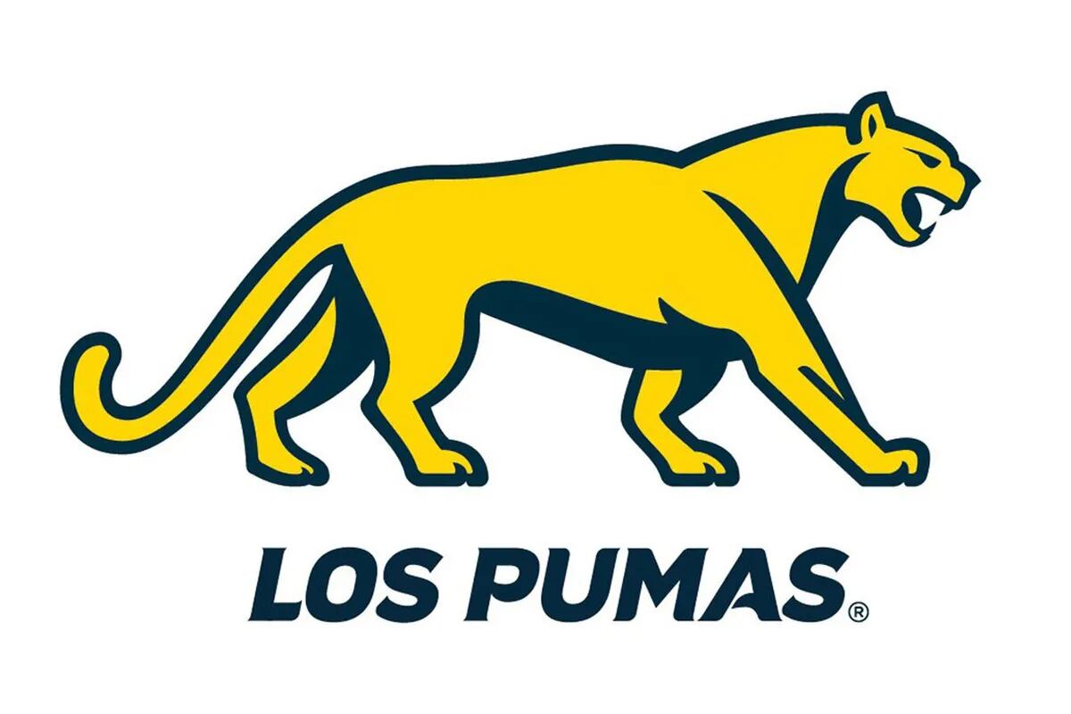 Los Pumas y el nuevo diseño del logotipo. En un deporte que cuida su tradición, no se tuvo en cuenta la importancia de los símbolos - LA NACION