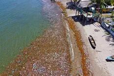 Tsunami de basura: varias toneladas invadieron las playas de Honduras