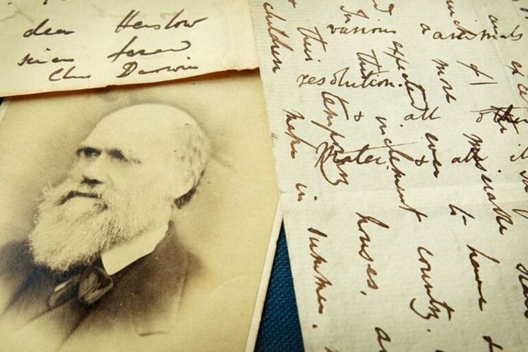 Janet Browne dice en su libro que Darwin era "la persona menos espectacular de todos los tiempos", algo que choca con la "incisiva brillantez" de sus textos