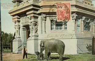Los elefantes fueron un tradicional atractivo de los zoológicos del mundo durante el siglo XX. Aquí una postal de 1907 con el recinto del zoo porteño, cuyo estilo indio remitía al origen asiático de los elefantes.