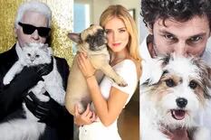 Día del Animal: las mascotas de los famosos que son furor en Instagram