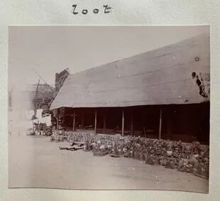 Objetos saqueados del palacio real durante la expedición punitiva a la ciudad de Benín en 1897