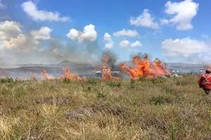 Denuncian “daños irreparables” tras los incendios en Rapa Nui