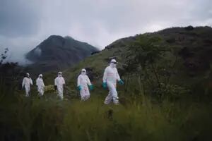 Son cazadores de virus y buscan evitar próximas pandemias
