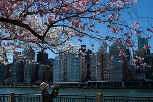 Manhattan: por qué los que buscan comprar vivienda tienen un momento inmejorable