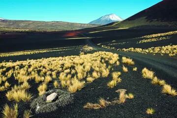 El volcán Payún Liso, uno de los 800 que gestaron esta reserva de lava y pampas negras en el sur mendocino.