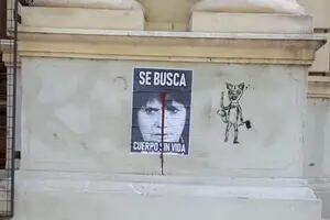 Rosario: investigan carteles contra Patricia Bullrich y Sergio Bergman