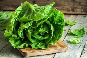 Así se conserva la lechuga fresca por más tiempo