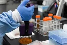 Detectaron en el país dos nuevas subvariantes de ómicron