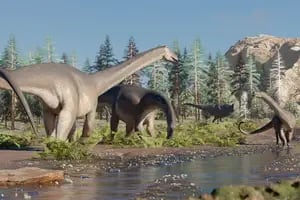 Encontraron en Neuquén los restos de un dinosaurio de 15 toneladas, extinto hace 90 millones de años