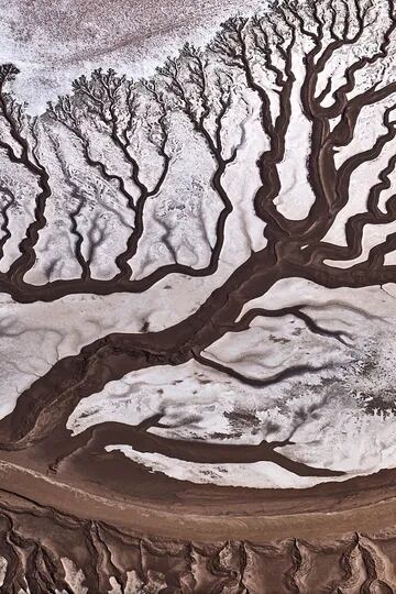 Elección de la Gente, categoría Naturaleza, la imagen es de Stas Bartnikas, el río Colorado es muy poco profundo debido a la extracción activa de agua para fines agrícolas. Cuando el río se encuentra con el océano en México, está casi seco