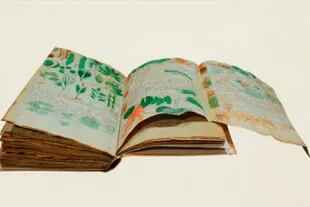 La editorial española Siloé, que se dedica a reproducir artesanalmente libros antiguos, hizo unas 900 copias del códice de Voynich