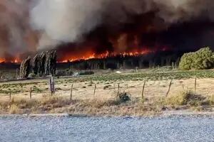 Conmovedora despedida: el mensaje de la hija del bombero que murió por combatir el incendio en Chubut