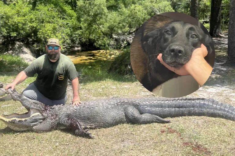 Als er in Florida seinen Hund in den Klauen eines Alligators sah, rettete er ihn mit einem Rettungsmanöver.