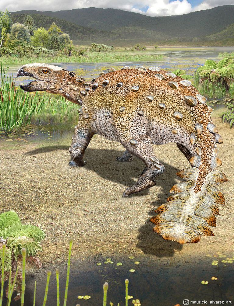 Stegouros elengassen tenía una longitud de unos dos metros, pesaba cerca de 150 kilos y era herbívoro.