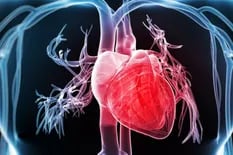 Cómo disminuir el colesterol y evitar problemas cardiovasculares