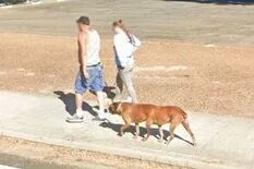La verdadera historia del “perro de seis patas” que apareció en Google Maps