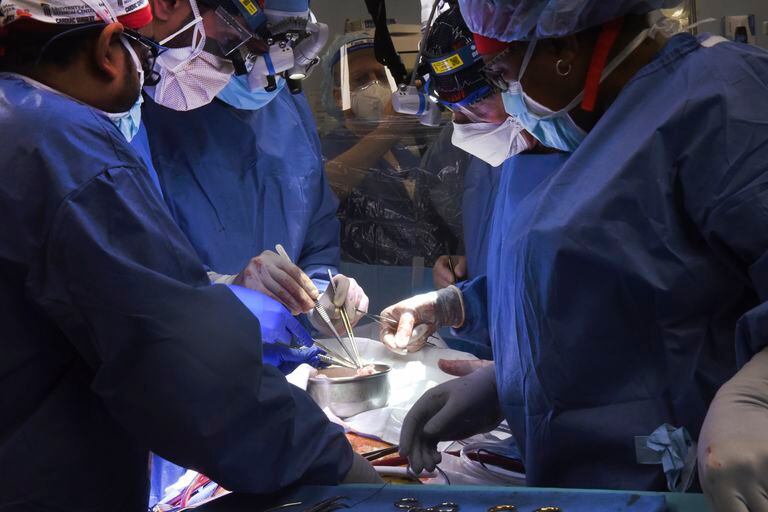 En esta fotografía difundida por la Facultad de Medicina de la Universidad de Maryland, miembros del equipo de cirugía realizan el trasplante de un corazón de cerdo en el paciente David Bennett, el viernes 7 de enero de 2022, en Baltimore. (Mark Teske/University of Maryland School of Medicine via AP)